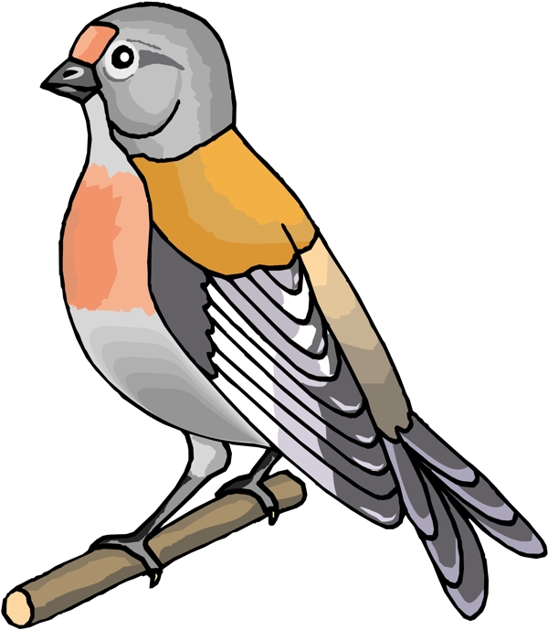 各種鳥類鳥動物矢量素材EPS格式0394