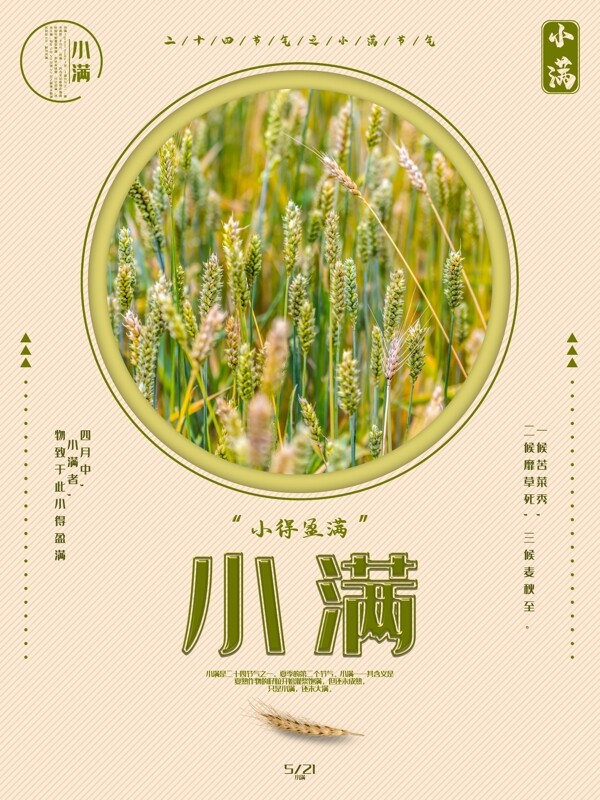 創(chuàng)意小滿節(jié)氣海報(bào)