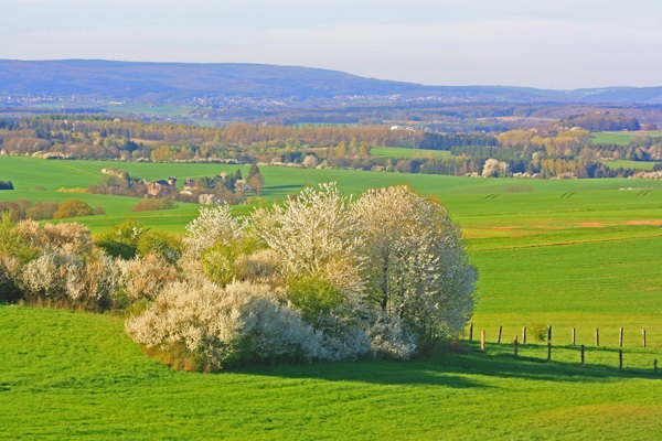 春季自然景观图片