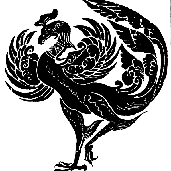 印花矢量圖動(dòng)物鳥(niǎo)類(lèi)色彩黑色免費(fèi)素材