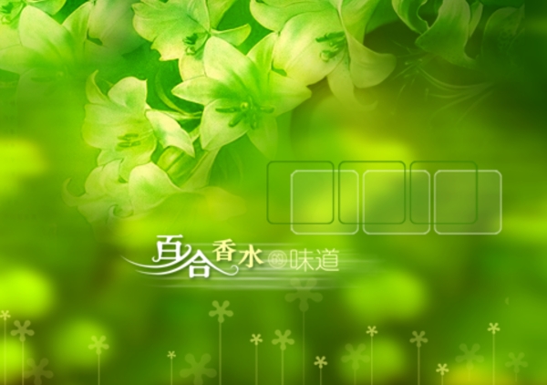 百合香水的味道婚紗模板