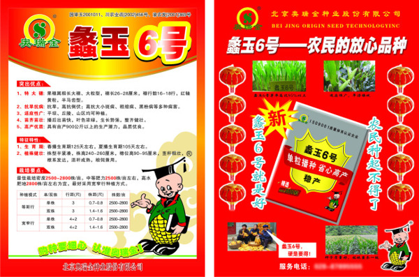 玉米宣傳單頁