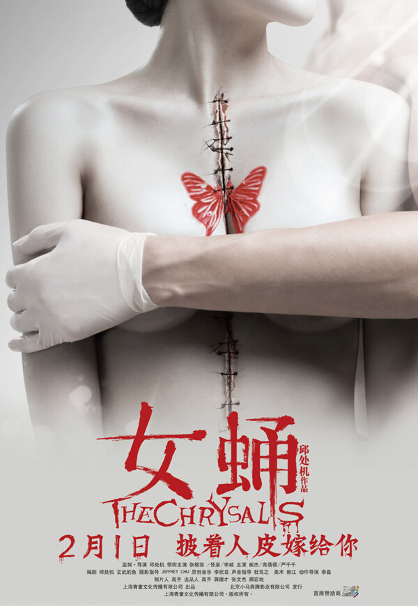 女蛹圖片