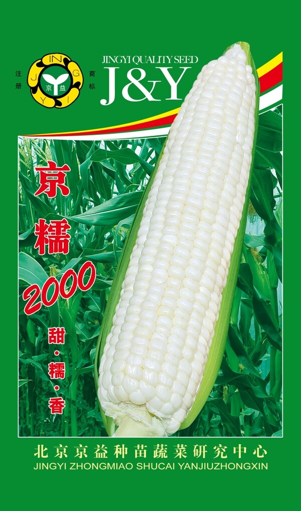 京糯圖片