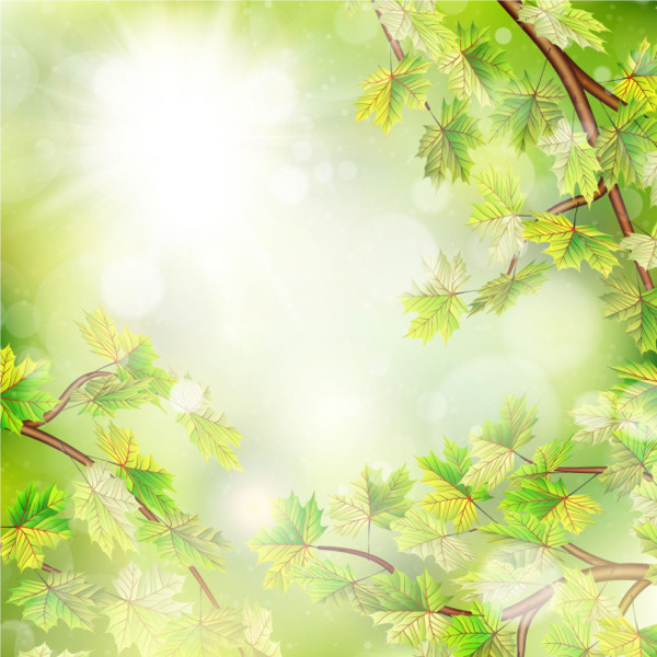 夏日绿叶与阳光背景矢量素材