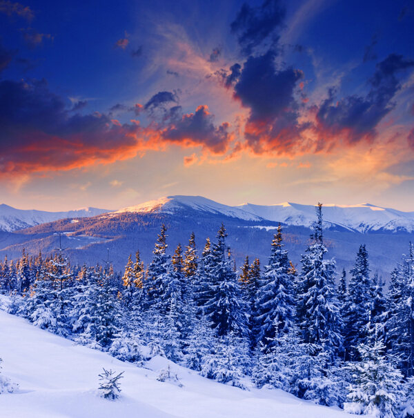 冬季雪景日落图片
