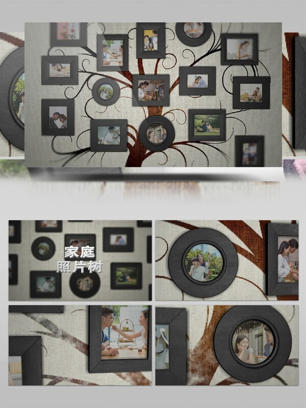 婚恋家庭照片树图像展示AE模板