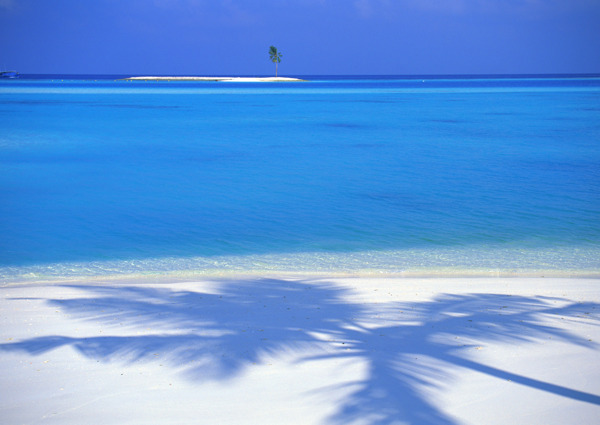 海岛海边海滩沙滩树影椰树天空晴空蓝天美景风景