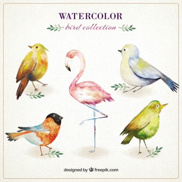 水彩可爱鸟类