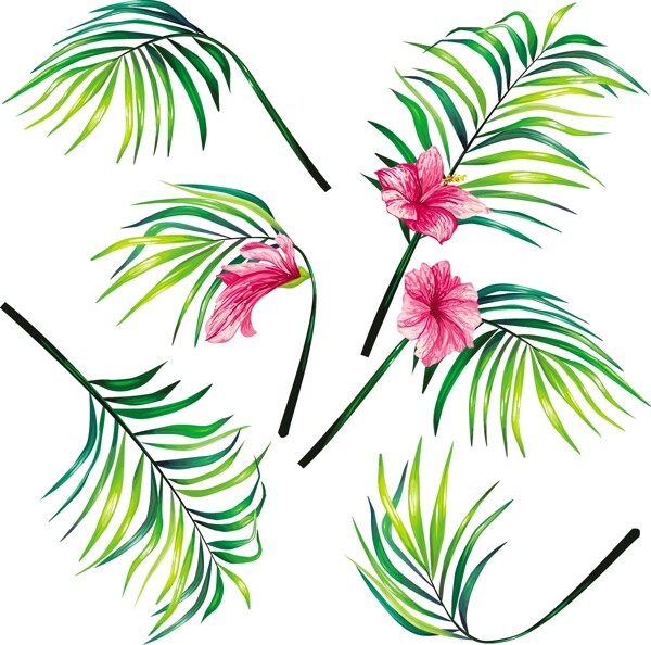 集热带棕榈植物的叶子在写实风格的矢量插图