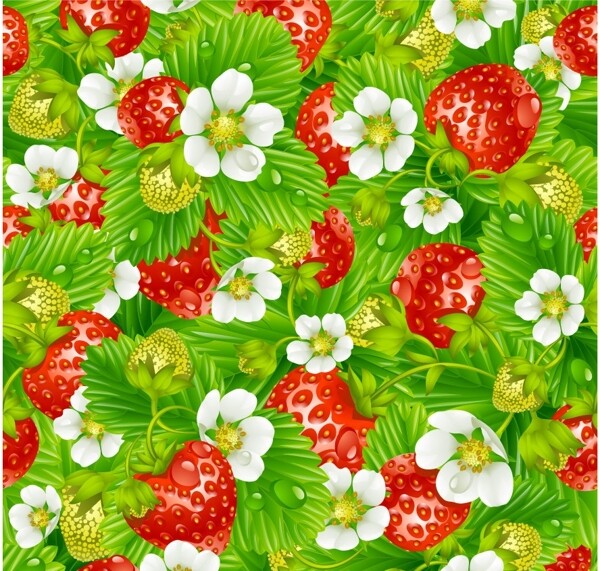 绿叶鲜花草莓水珠水滴背景图片