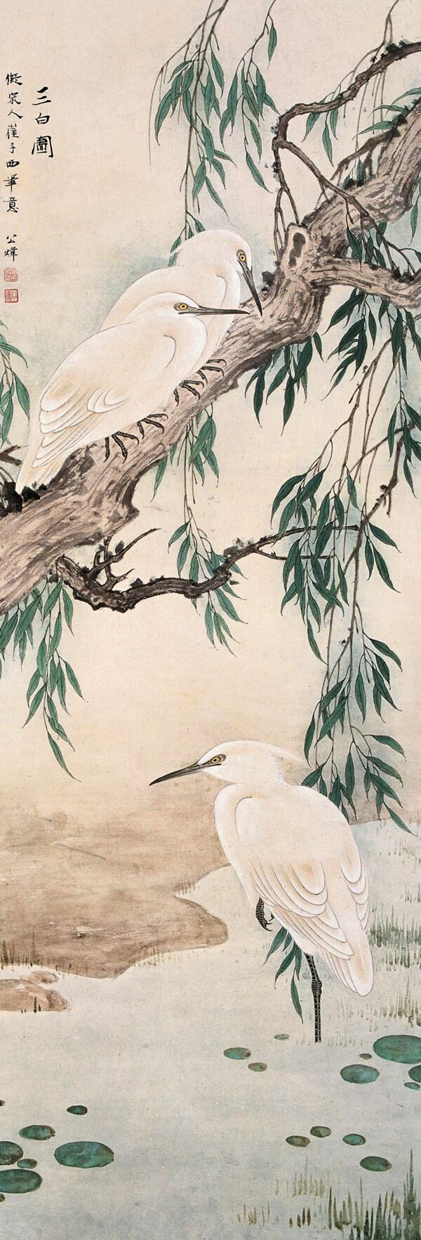 三白圖圖片