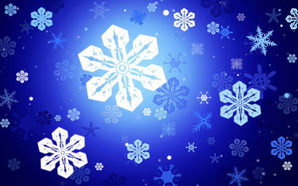 大雪花