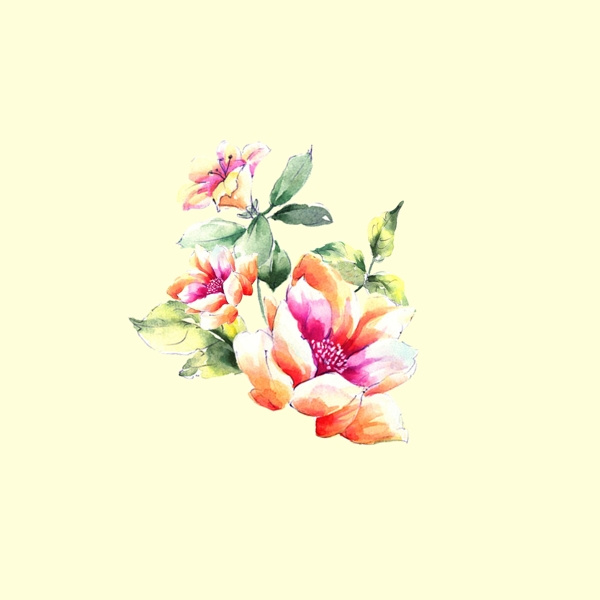 位圖psd植物花朵pop原創(chuàng)免費素材