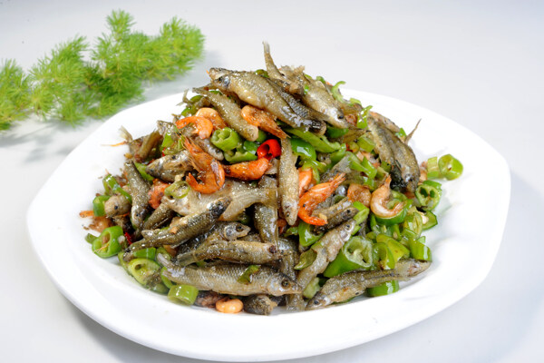 湘上廚嫩仔鮮河魚