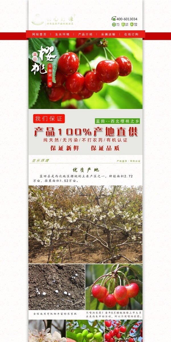 櫻桃網(wǎng)站