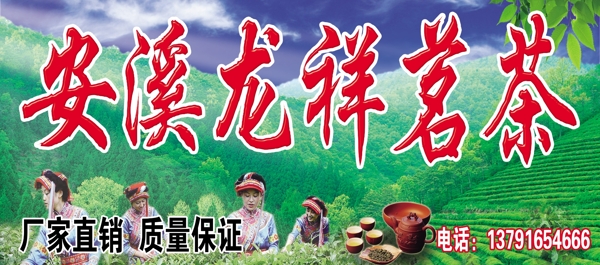 安溪龍祥茗茶