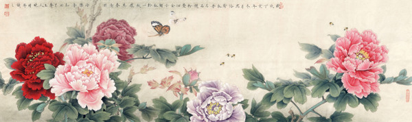 牡丹圖片