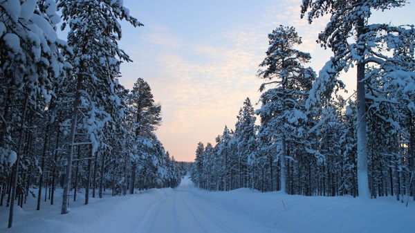芬兰的雪