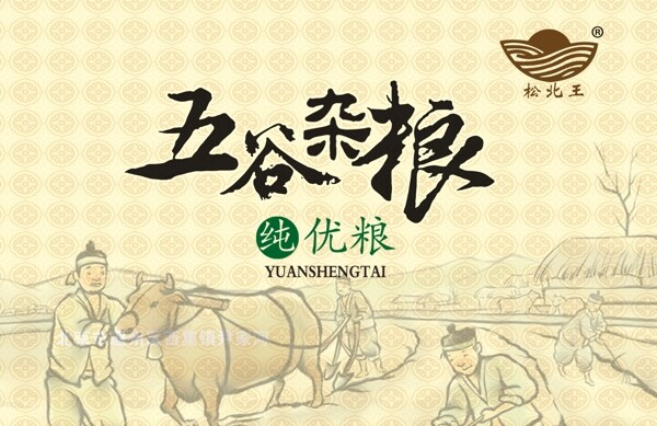 五谷杂粮图片