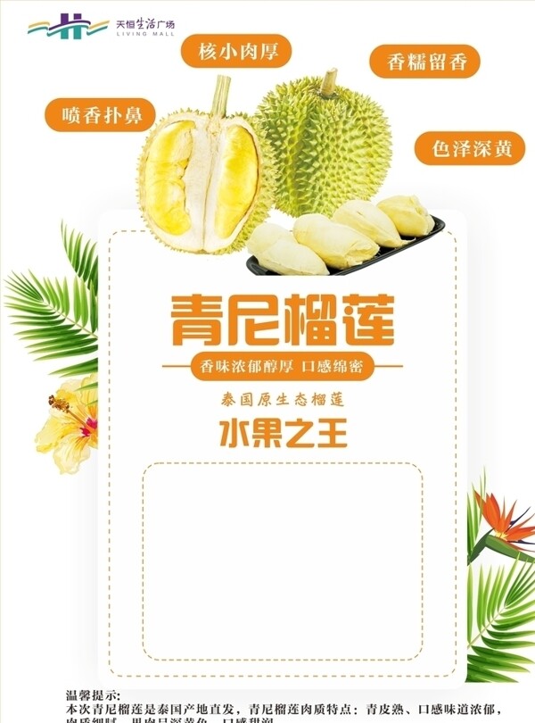 榴蓮海報(bào)青尼榴蓮榴蓮展板