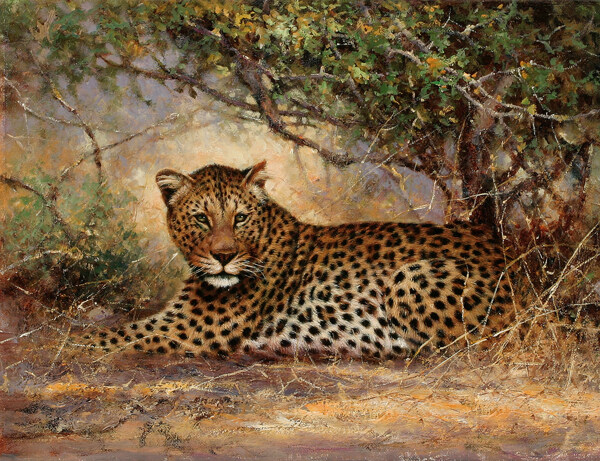 位圖插畫時尚插畫動物插畫藝術效果免費素材