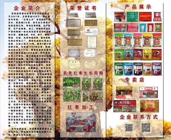 紅棗簡介