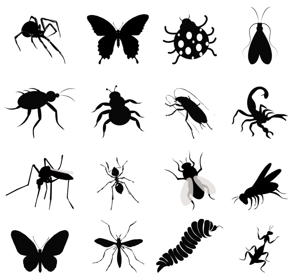 16种昆虫剪影矢量素材