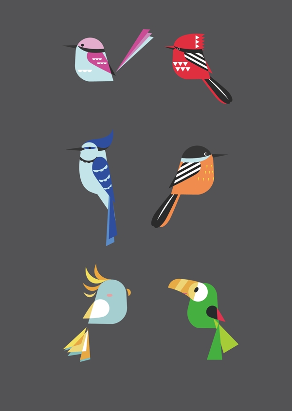 扁平时尚鸟类插画