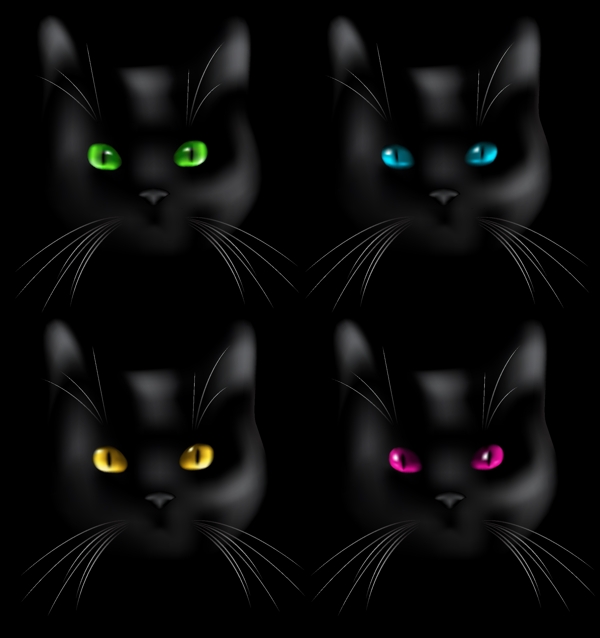 黑色的猫的头部特写矢量素材