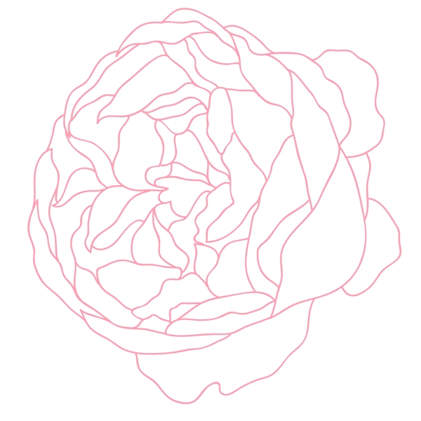 線性花卉素材