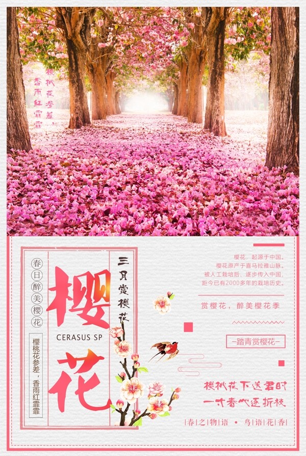 2018粉色创意春季旅游赏樱花宣传海报
