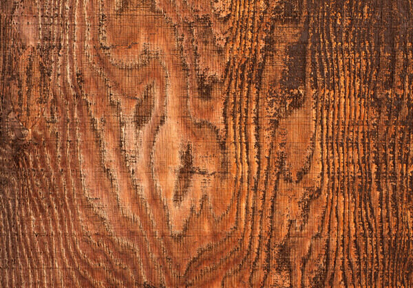 木材表面纹理39