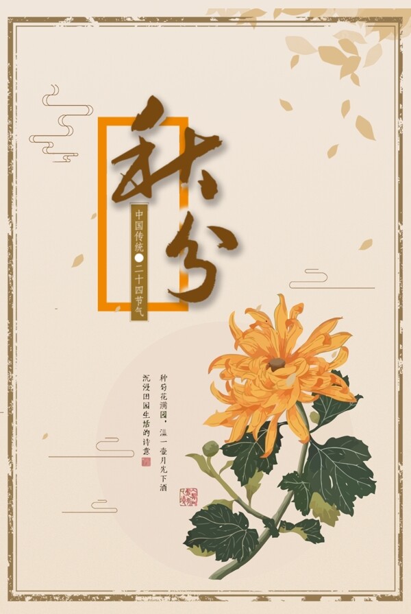 秋分24节气传统节气菊花手绘海报展板背景