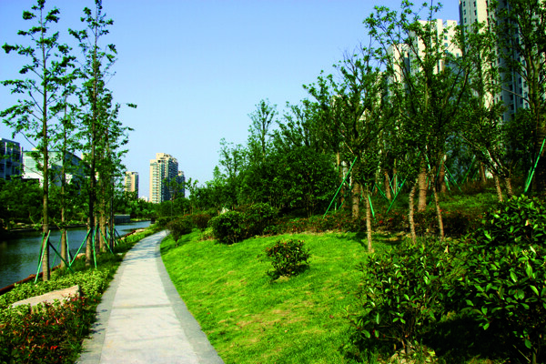 2009公园绿化金奖拱墅区后横港公园图片