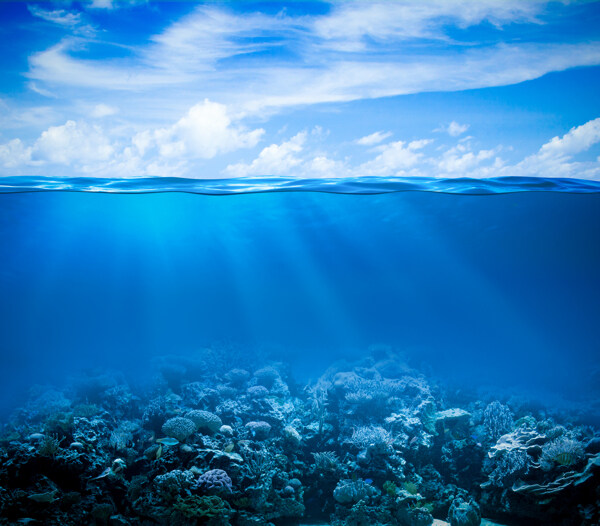 阳光照耀下的海底世界图片