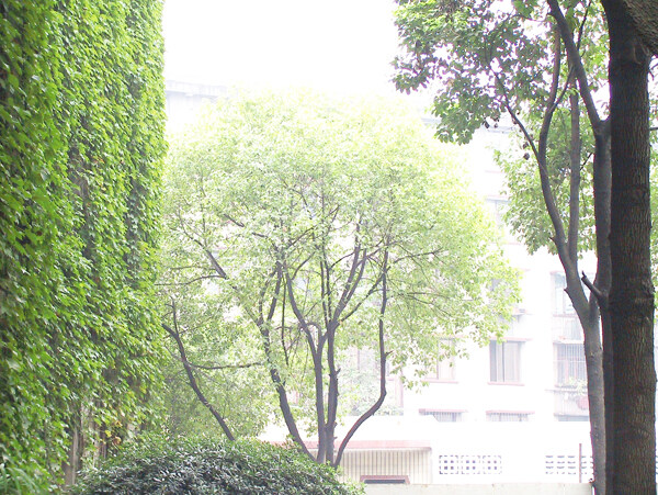 現(xiàn)代簡約裝修設(shè)計(jì)