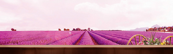 浪漫紫色庄园背景