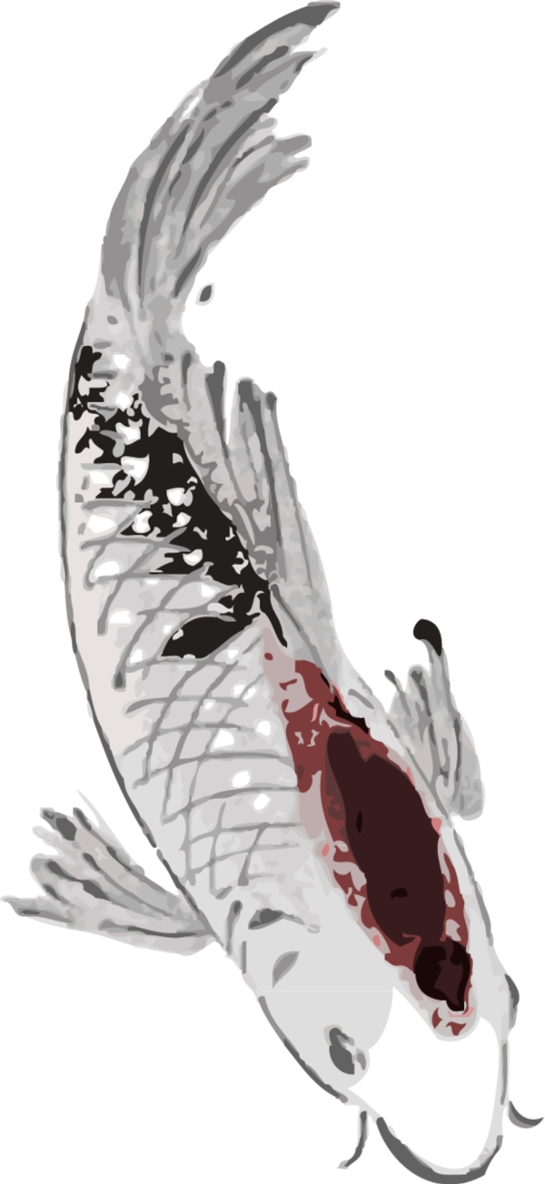 水墨魚