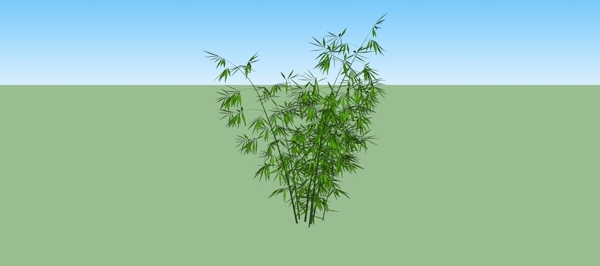 竹子景觀