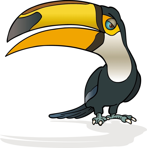 印花矢量圖動物鳥類色彩彩色免費素材