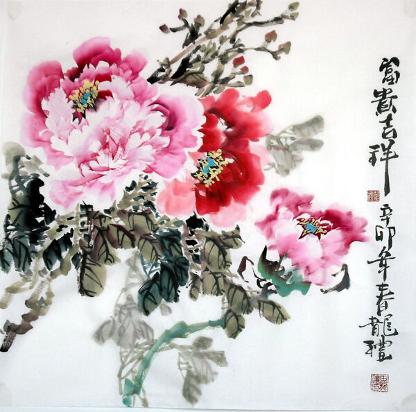 牡丹花圖片