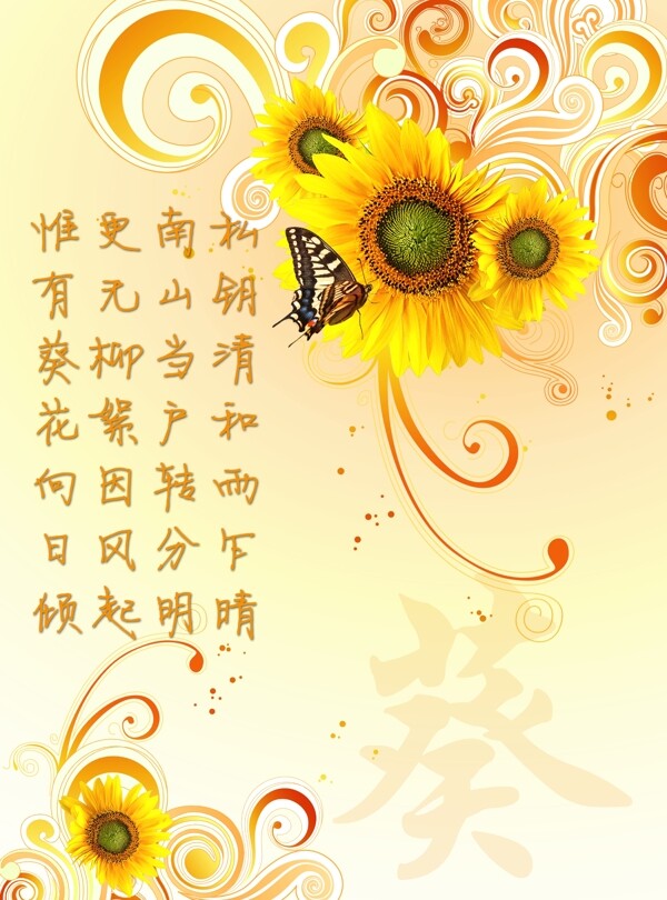 向日葵圖片
