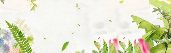 淘寶女a(chǎn)nner創(chuàng)意設計