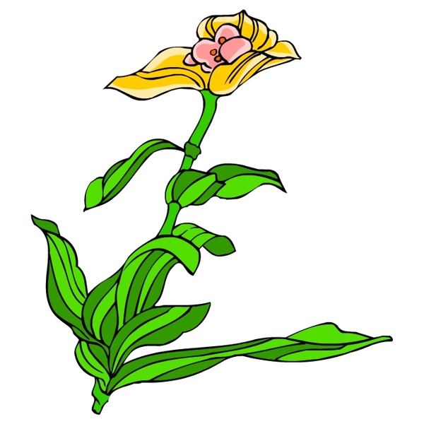 花卉古典插畫