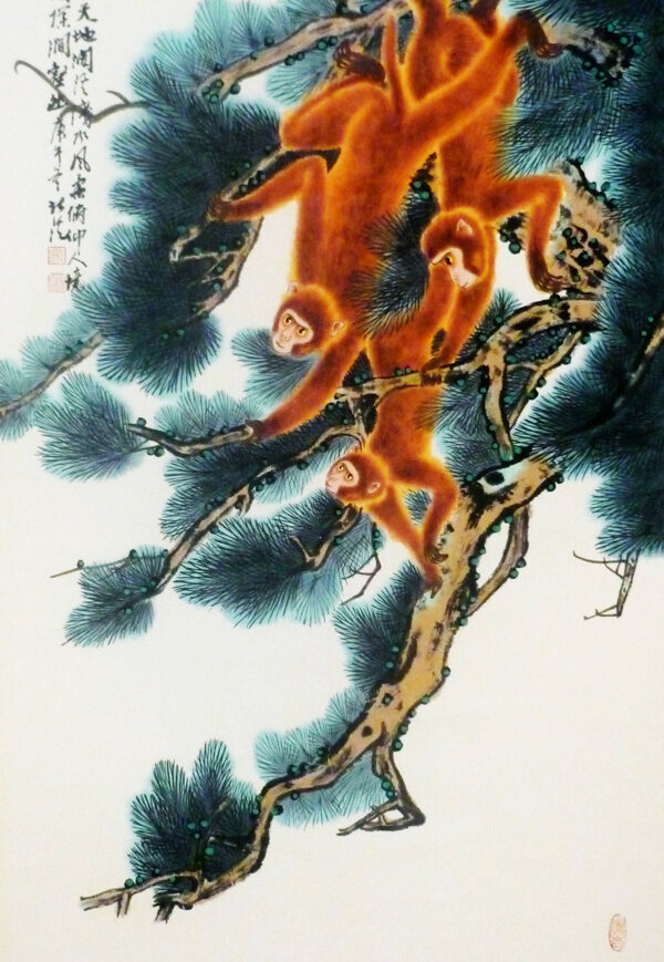 猴子圖片