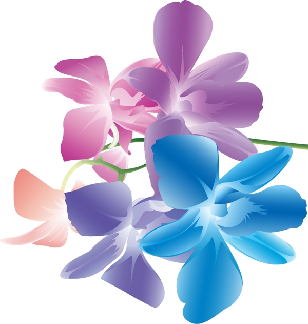時尚花卉矢量素材圖片