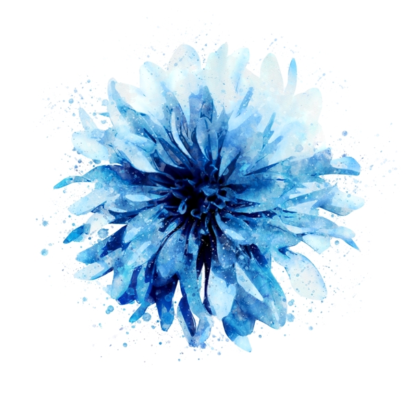 手绘蓝色花卉元素