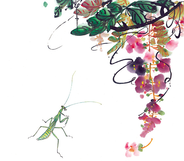 水墨画昆虫蝗虫蚂蚱蛐蛐知了中华艺术绘画
