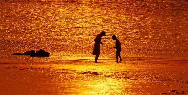 海滩夕阳拾贝壳图片